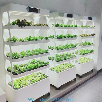 Iydroponic Automated Grow Syst - Diy Home Automation System recension och pris