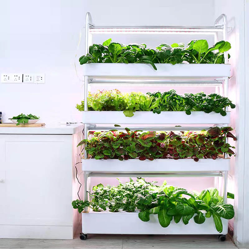 ydroponic Planting System Smar - Diy Home Automation System recension och pris