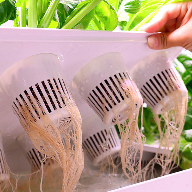 ydroponic Planting System Smar - Diy Home Automation System recension och pris