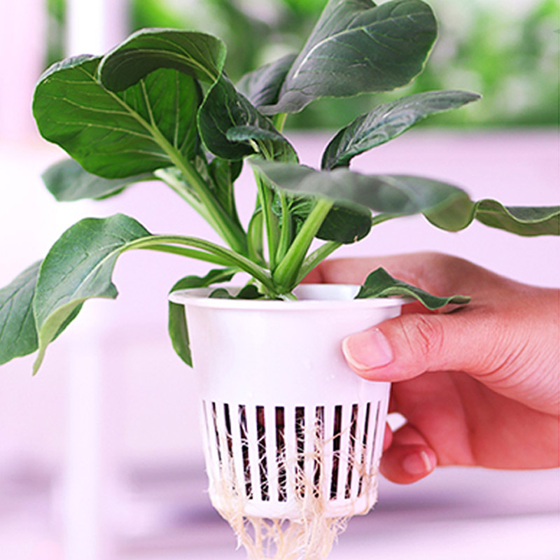 ydroponic Planting System Smar - Diy Home Automation System recension och pris