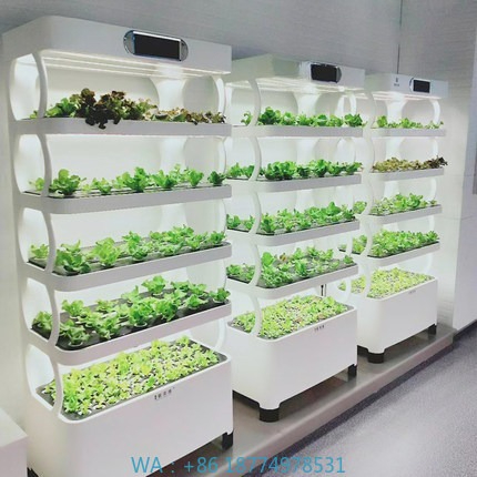 Hydroponic Automated Grow Syst - Diy Home Automation System recension och pris